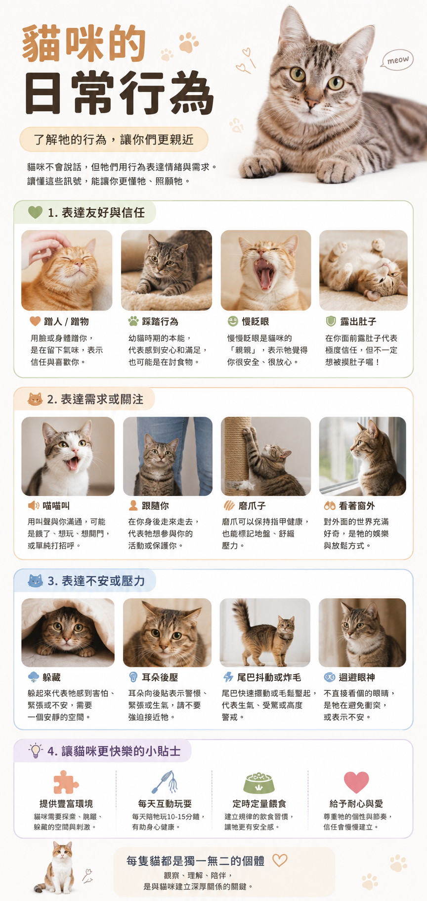 Prompt ChatGPT 中国語猫インフォグラフィックの作例